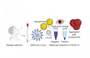 Researchers develop experimental rapid COVID-19 test using nanoparticle technique Researchers develop experimental rapid COVID 19 test using nanoparticle technique