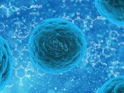 Scientists engineer one protein to fight cancer and regenerate neurons