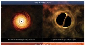 Scientists shed light on growth of black holes