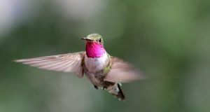 Spectacular birds eye view