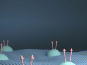 2 D semiconductors found to be close to ideal fractional quantum Hall platform