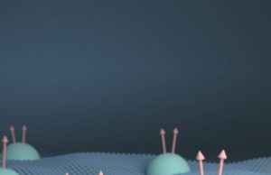 2 D semiconductors found to be close to ideal fractional quantum Hall platform