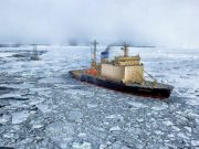 A regime shift is happening in the Arctic Ocean scientists say