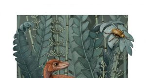 A tiny ancient relative of dinosaurs and pterosaurs discovered