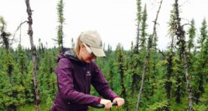 Alaska is getting wetter. Thats bad news for permafrost and the climate