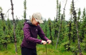Alaska is getting wetter. Thats bad news for permafrost and the climate