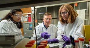 Archaeologists use tooth enamel protein to show sex of human remains