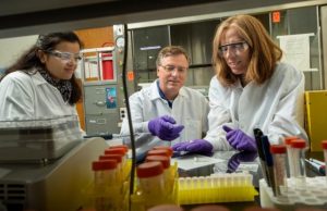 Archaeologists use tooth enamel protein to show sex of human remains