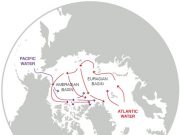 Arctic Ocean changes driven by sub Arctic seas