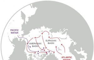 Arctic Ocean changes driven by sub Arctic seas