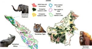 Certified sustainable palm oil fields endanger mammal habitats and biodiverse tropical forests over 30 years