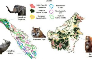 Certified sustainable palm oil fields endanger mammal habitats and biodiverse tropical forests over 30 years