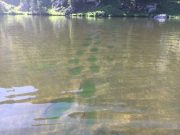 Climate change turning US mountain lakes green with algae