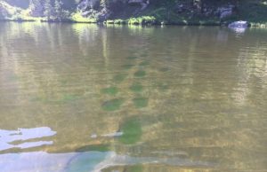 Climate change turning US mountain lakes green with algae