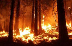Climate scientists increasingly ignore ecological role of Indigenous peoples