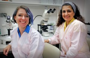 Converting female mosquitoes to non biting males with implications for mosquito control