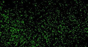 Deep sea microbes dormant for 100 million years are hungry and ready to multiply