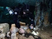 Divers uncover mysteries of earliest inhabitants of Americas deep inside Yucatan caves Divers uncover mysteries of earliest inhabitants of Americas deep inside Yucatan caves