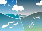 Ecosystem degradation could raise risk of pandemics