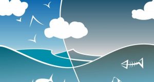 Ecosystem degradation could raise risk of pandemics