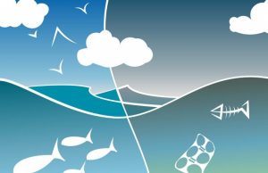 Ecosystem degradation could raise risk of pandemics Ecosystem degradation could raise risk of pandemics