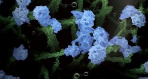 Harvesting hydrogen from nanogardens