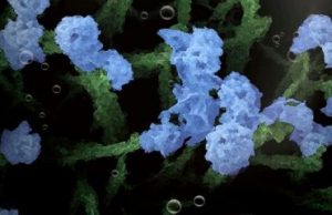 Harvesting hydrogen from nanogardens Harvesting hydrogen from nanogardens