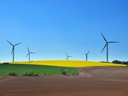 Latest U.N. sustainability goals pose more harm than good for environment, scientists warn Latest U.N. sustainability goals pose more harm than good for environment scientists warn