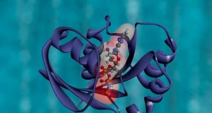 Machine learning reveals recipe for building artificial proteins