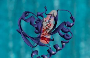 Machine learning reveals recipe for building artificial proteins