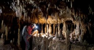 Neanderthals of the Western Mediterranean did not become extinct because of changes in climate