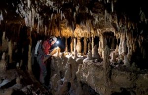 Neanderthals of the Western Mediterranean did not become extinct because of changes in climate