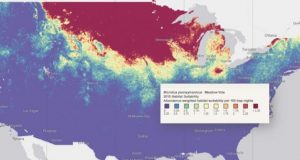 New models show how species will be relocated by climate change
