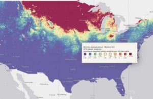 New models show how species will be relocated by climate change
