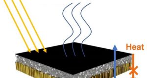 Purifying water with the help of wood bacteria and the sun