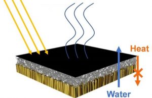 Purifying water with the help of wood bacteria and the sun