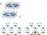 Quantum exciton found in magnetic van der Waals material
