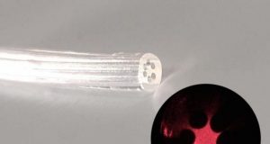 Researchers develop an optical fiber made of gel derived from marine algae