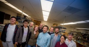 Researchers discover 2 paths of aging and new insights on promoting healthspan