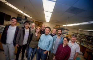 Researchers discover 2 paths of aging and new insights on promoting healthspan