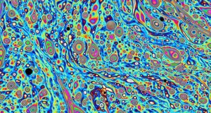 Researchers observe branched flow of light for the first time