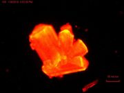 Scientists discover heavy element chemistry can change at high pressures