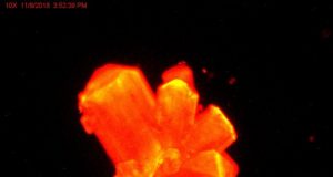 Scientists discover heavy element chemistry can change at high pressures