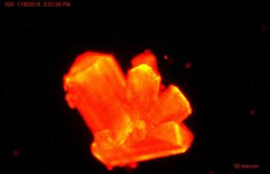 Scientists discover heavy element chemistry can change at high pressures