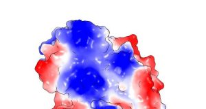 Scientists find new way to kill tuberculosis