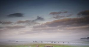 Scientists trace source of Stonehenge boulders