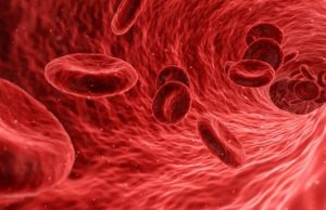 Study reveals how a dangerous parasite controls its host cell to spread around the body