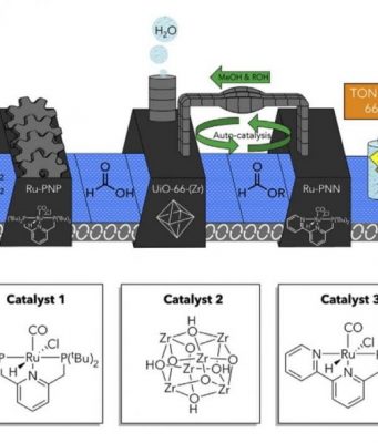 Tandem catalytic system efficiently converts carbon dioxide to methanol Tandem catalytic system efficiently converts carbon dioxide to methanol