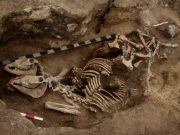 The most ancient evidence of horsemanship in the bronze age