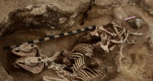 The most ancient evidence of horsemanship in the bronze age